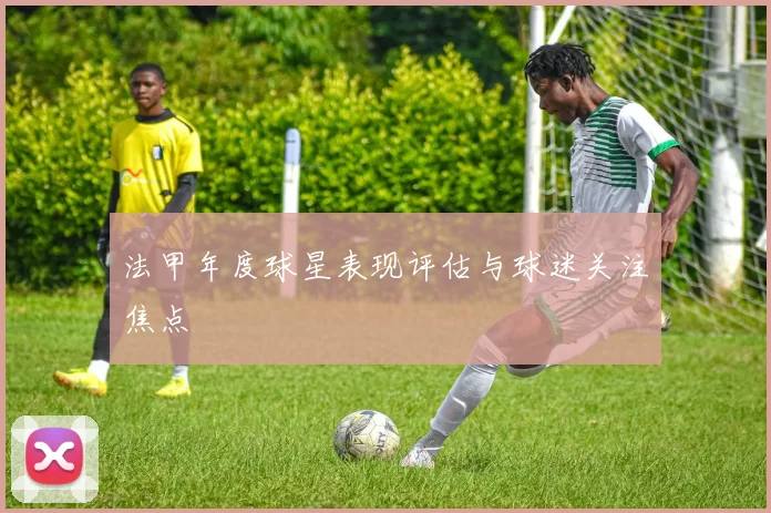 法甲年度球星表现评估与球迷关注焦点